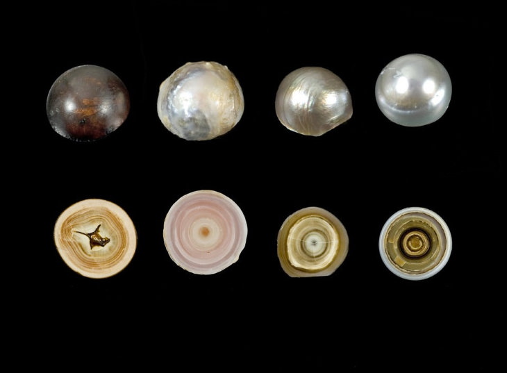 Cross Sections pearls