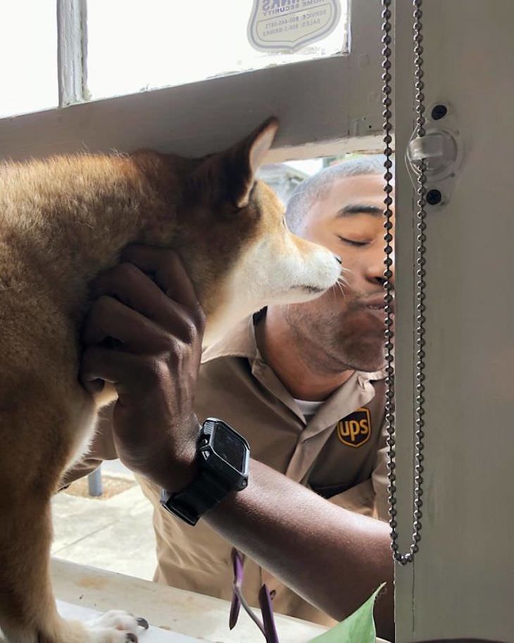 UPS Driver Documents Every Cute Pet He Meets dog kiss