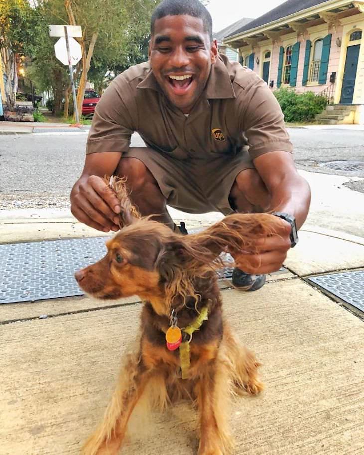 UPS Driver Documents Every Cute Pet He Meets dog ears