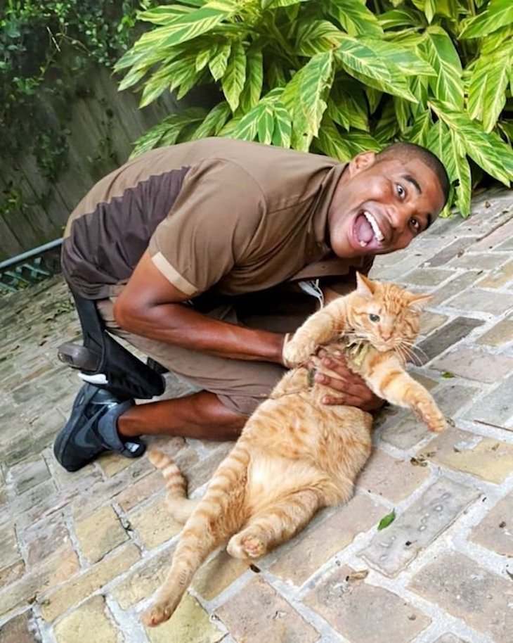 UPS Driver Documents Every Cute Pet He Meets ginger cat