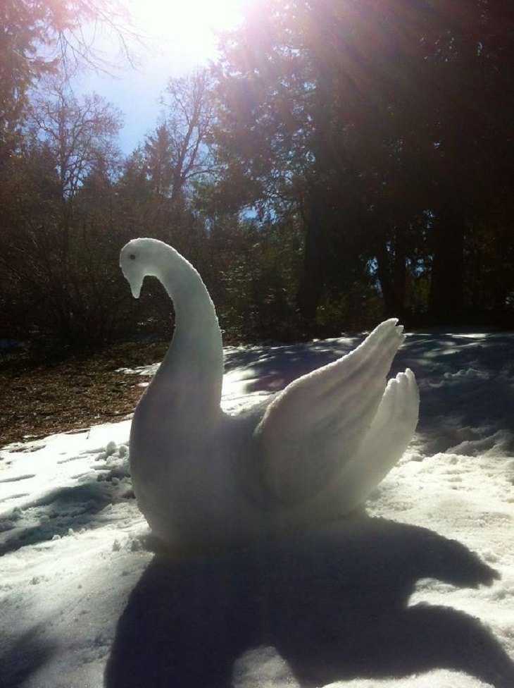 Snow Sculptures, swan