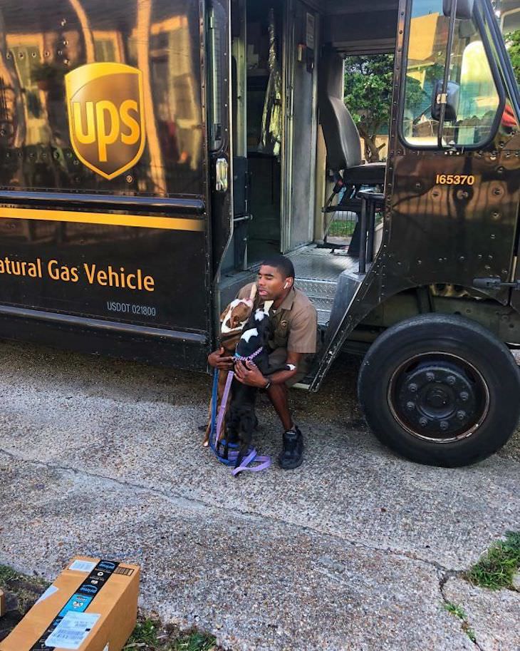 UPS Driver Documents Every Cute Pet He Meets dogs ups truck
