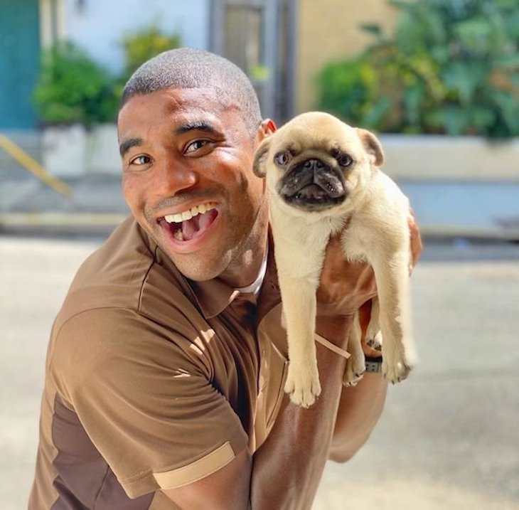 UPS Driver Documents Every Cute Pet He Meets pug