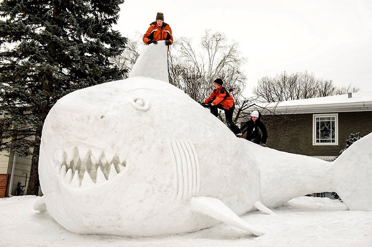 Snow Sculptures, Shark 