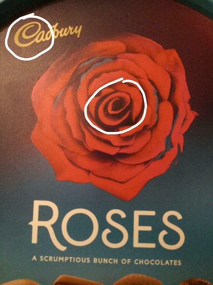 Cool Hidden Details Found in Everyday Objects cadbury rose
