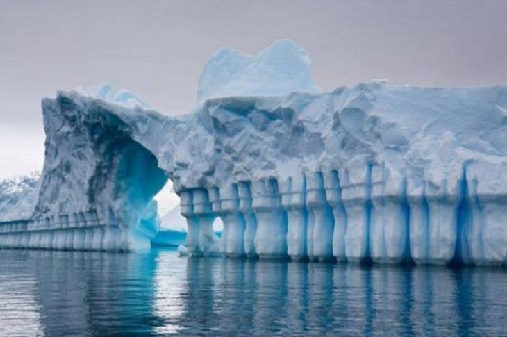 Nature is Amazing, Antarctica 