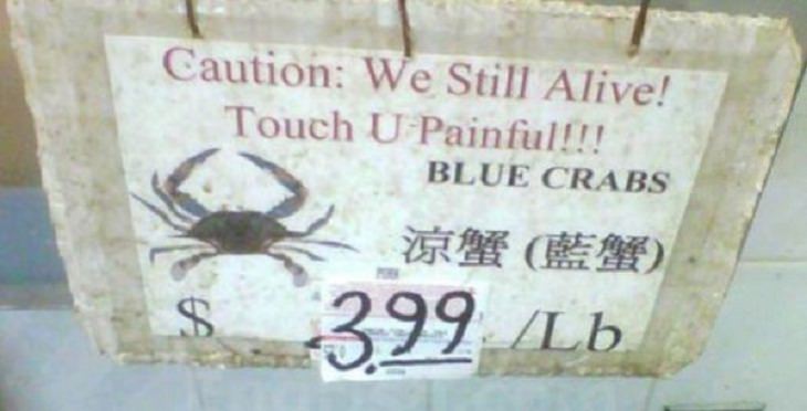 Translation Fails, crabs