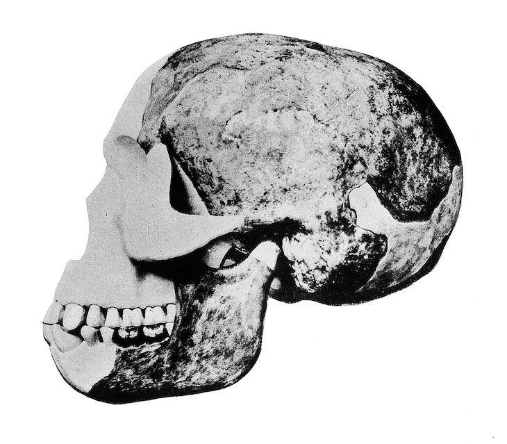 Biggest Lies to  Go Down In History, the Piltdown Man skull