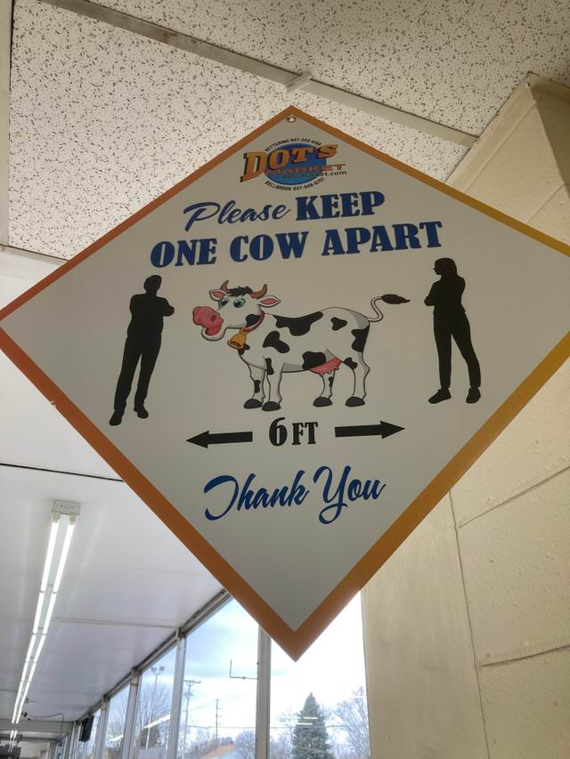 Funny Signs cow 2m