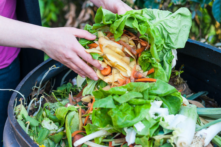 Gardening myths debunked, compost