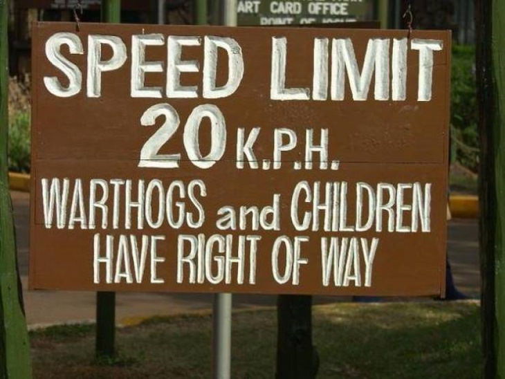Funny Signs speed limit