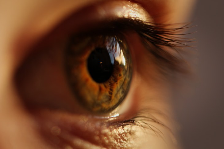 Dilated Pupils Causes green eyes closeup shot