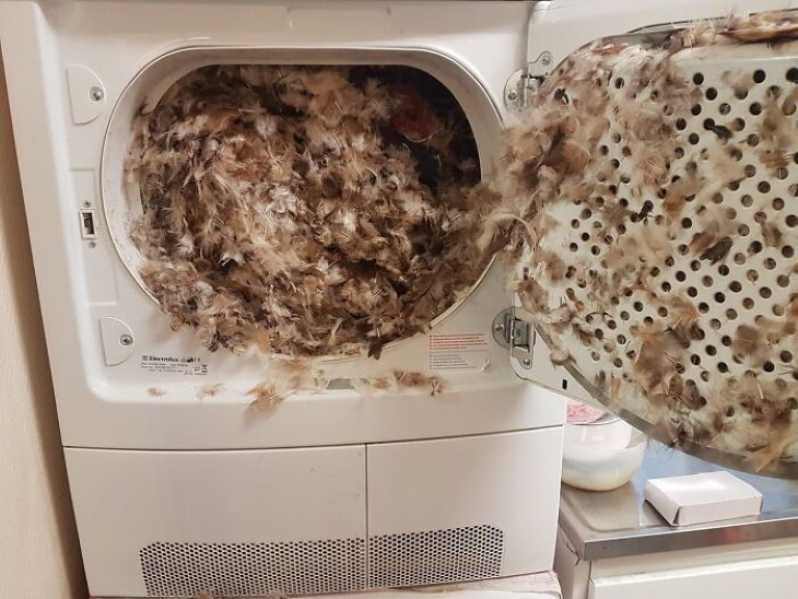 electronics and tech fails pillow in dryer