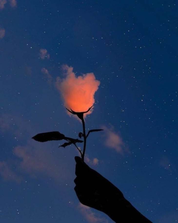 22 Stunning Natural Optical Illusions, cloud that looks like a rose
