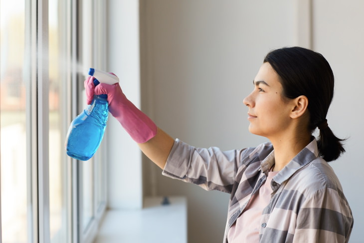 Cleaning Supplies Mistakes Cleaning Window