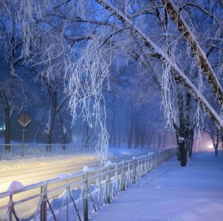 Winter Season Russia, nights
