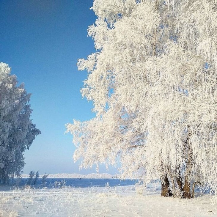 Winter Season Russia, nature 