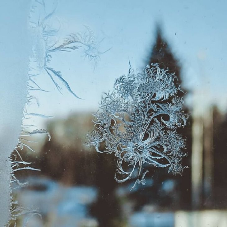 Winter Season Russia,frost 