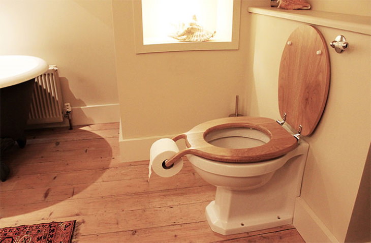 Interior Design Fails odd toilet