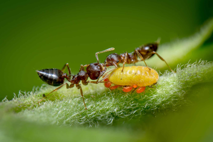 Biology Photography 