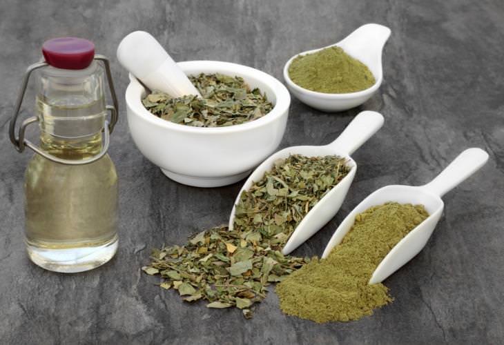 Benefits of Moringa Oil, 