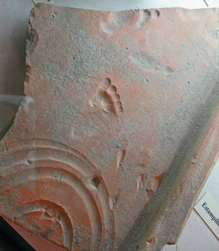 Historical Artifacts Roman toddler's footprint