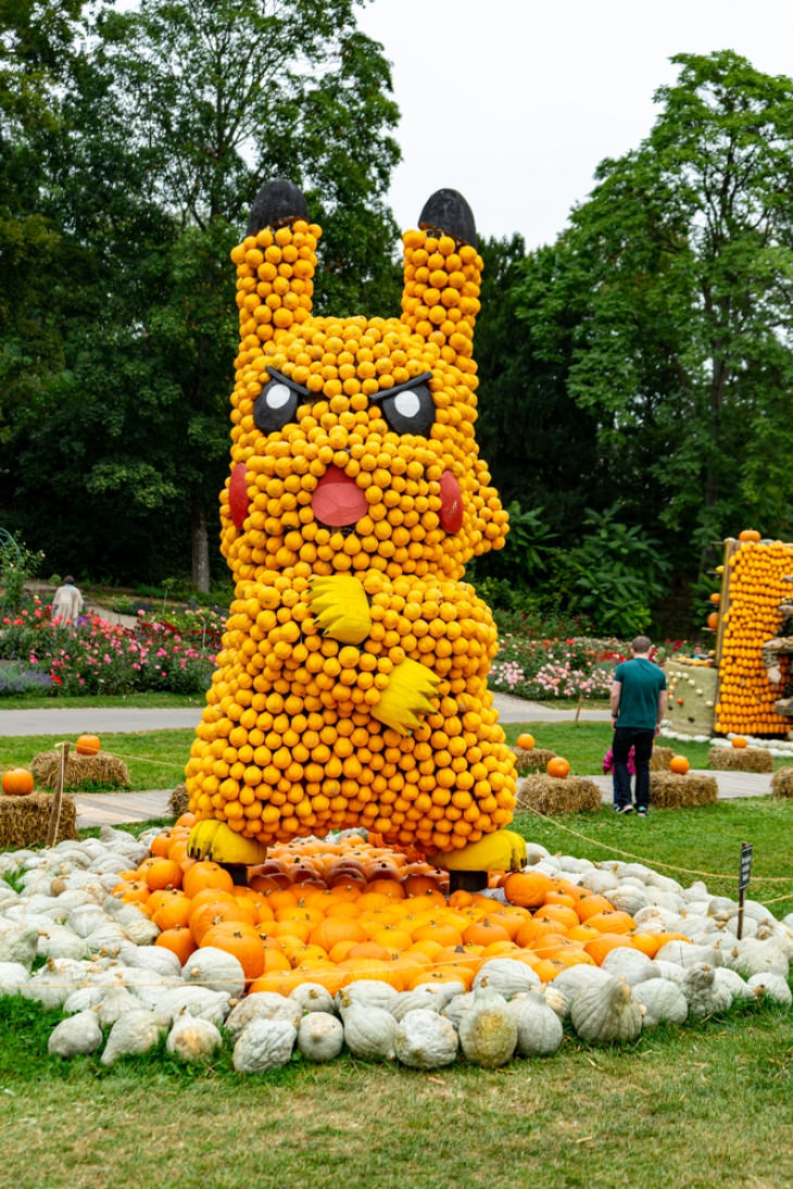 Pikachu pumpkin installation 