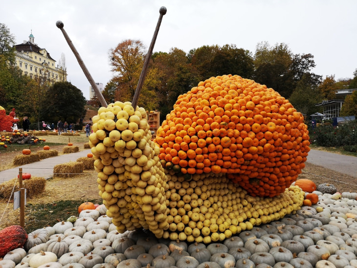 snail pumpkin installation 