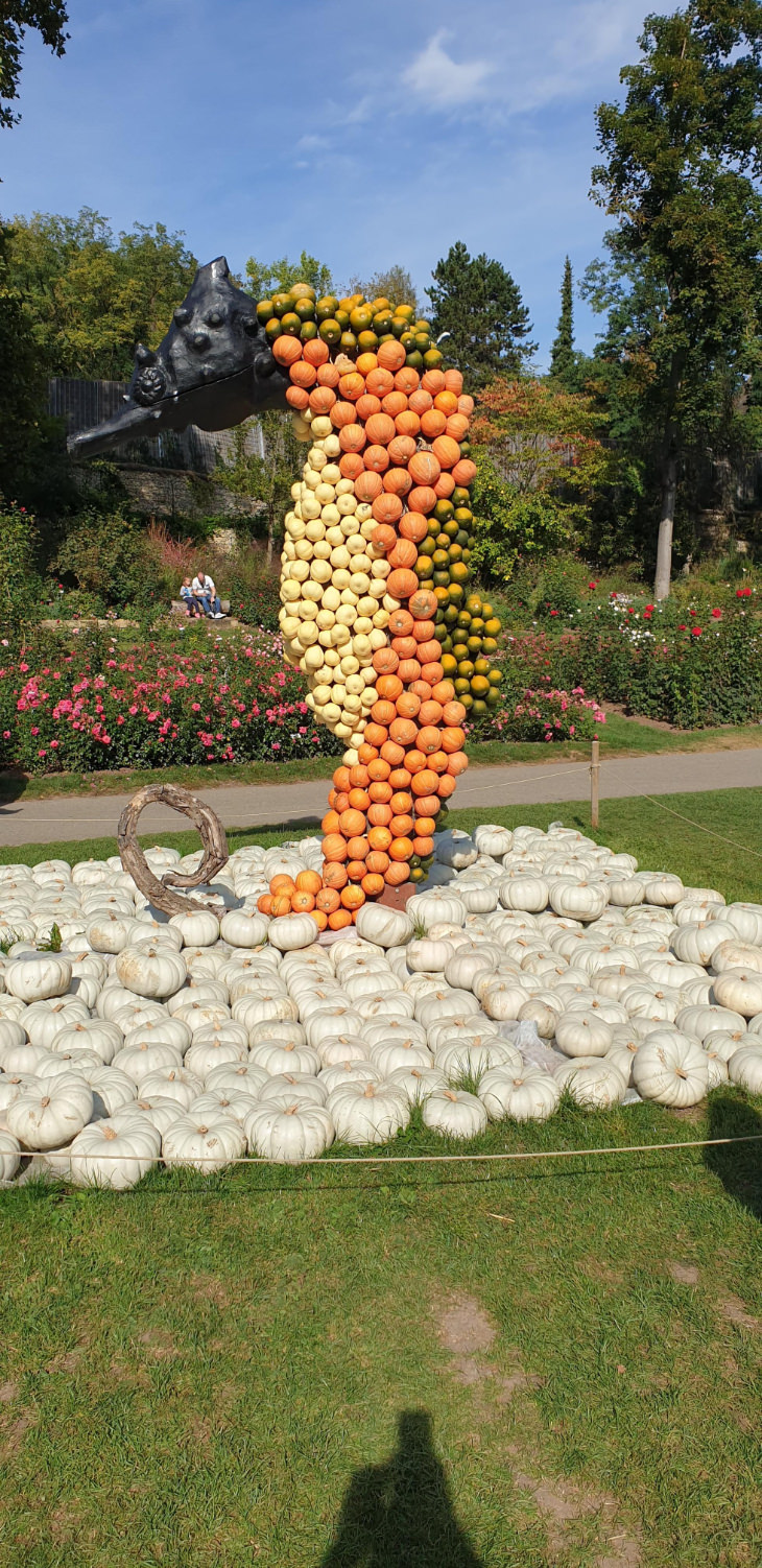 seahorse pumpkin installation 