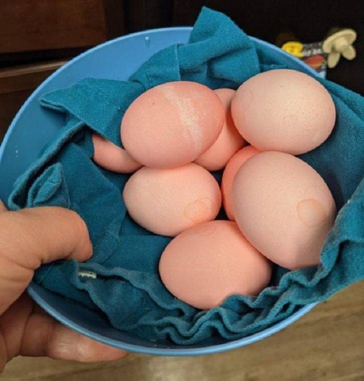 DIY Kitchen Hacks, hard-boil eggs