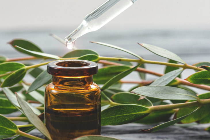 Essential Oils & the Immune System Eucalyptus Oil