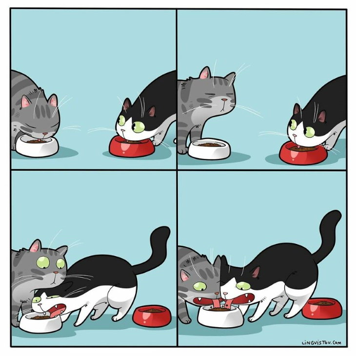 Lingvistov Cat Comics