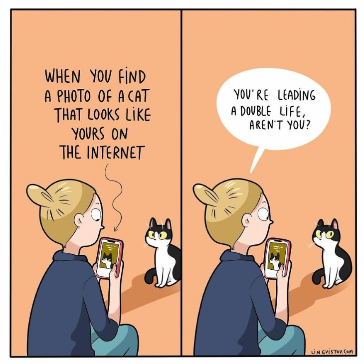 Lingvistov Cat Comics