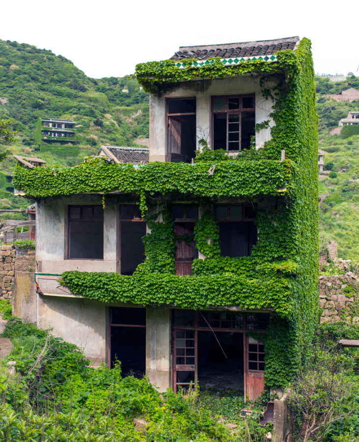 Houses covered in leaves in Houtouwan 