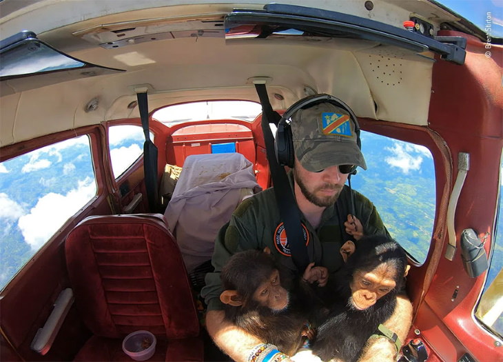 2021 Wildlife Photographer of the Year Winners Brent Stirton