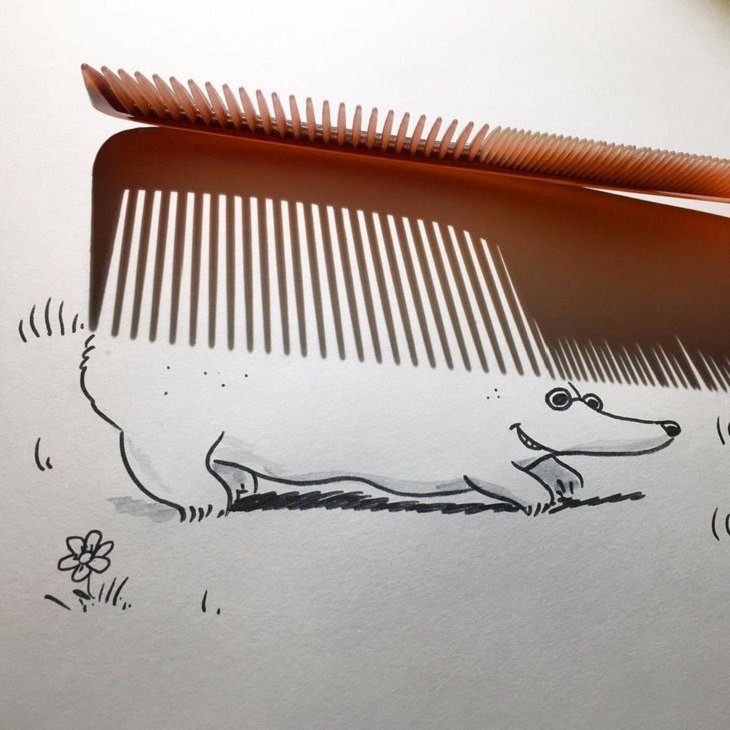 Shadow Doodles, hedgehog 