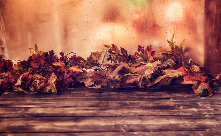 Leaf garland on window 