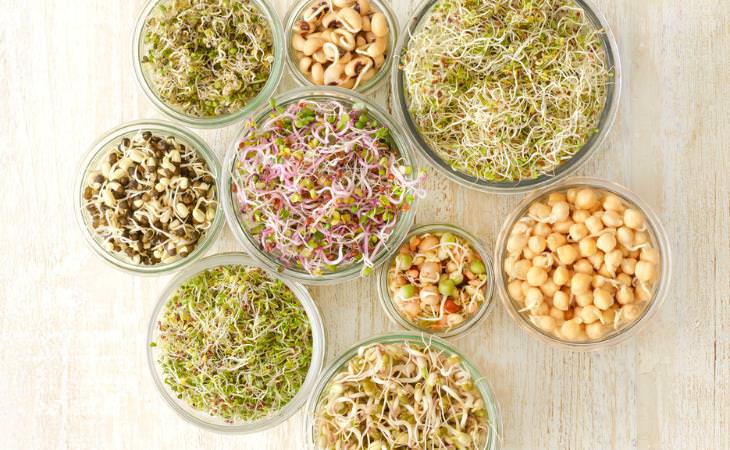 different kinds sprouts in bowls