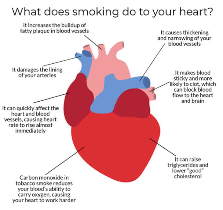 Practical Infographics 