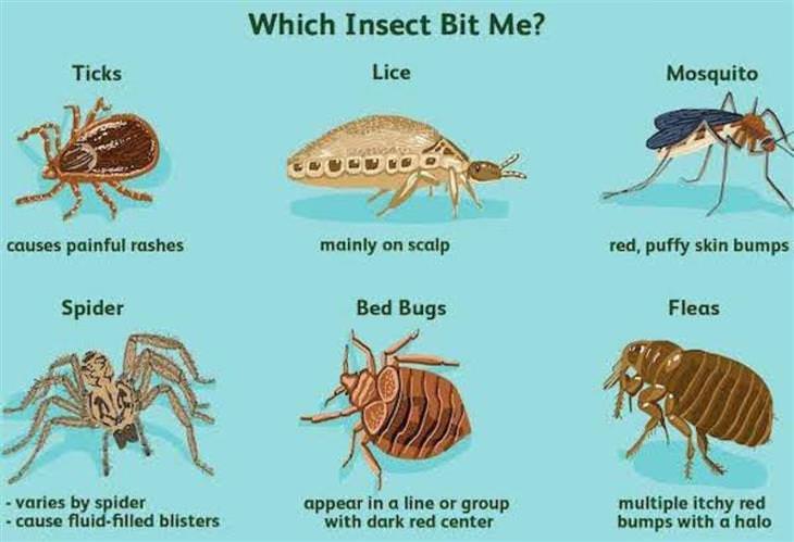 Practical Infographics 