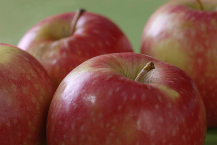 Popular Apple Varieties Pink Lady