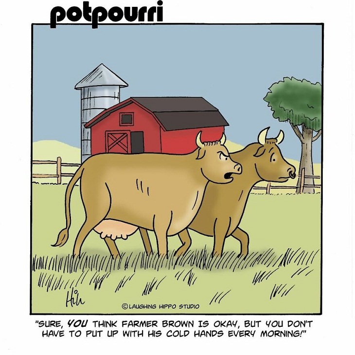 Single-Panel Comics, cows
