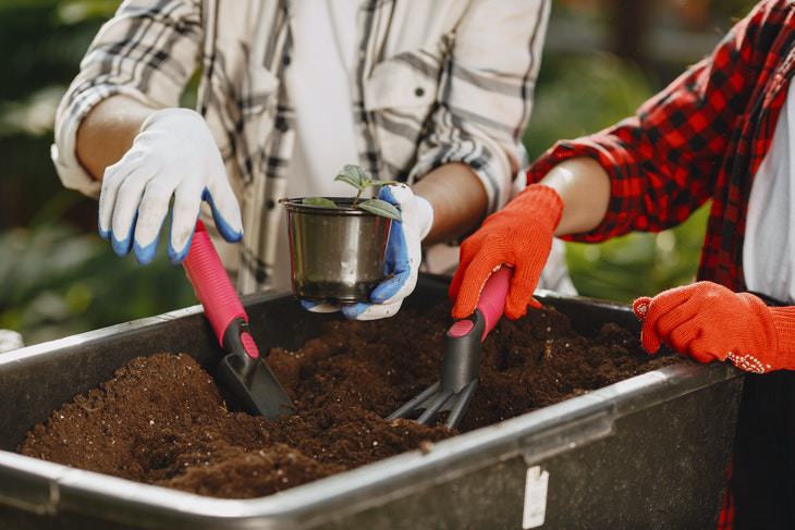 Newspapers Uses compost