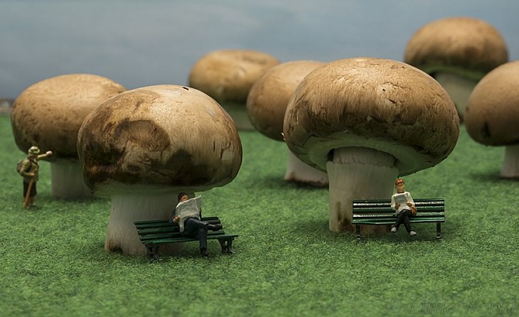 Miniature People, Mushroom Forest