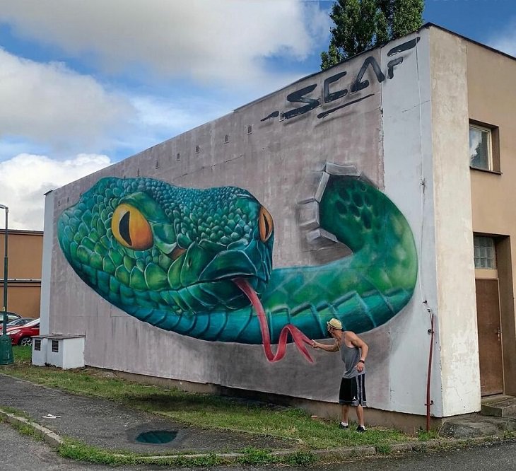 3D Graffiti Illusions, snake