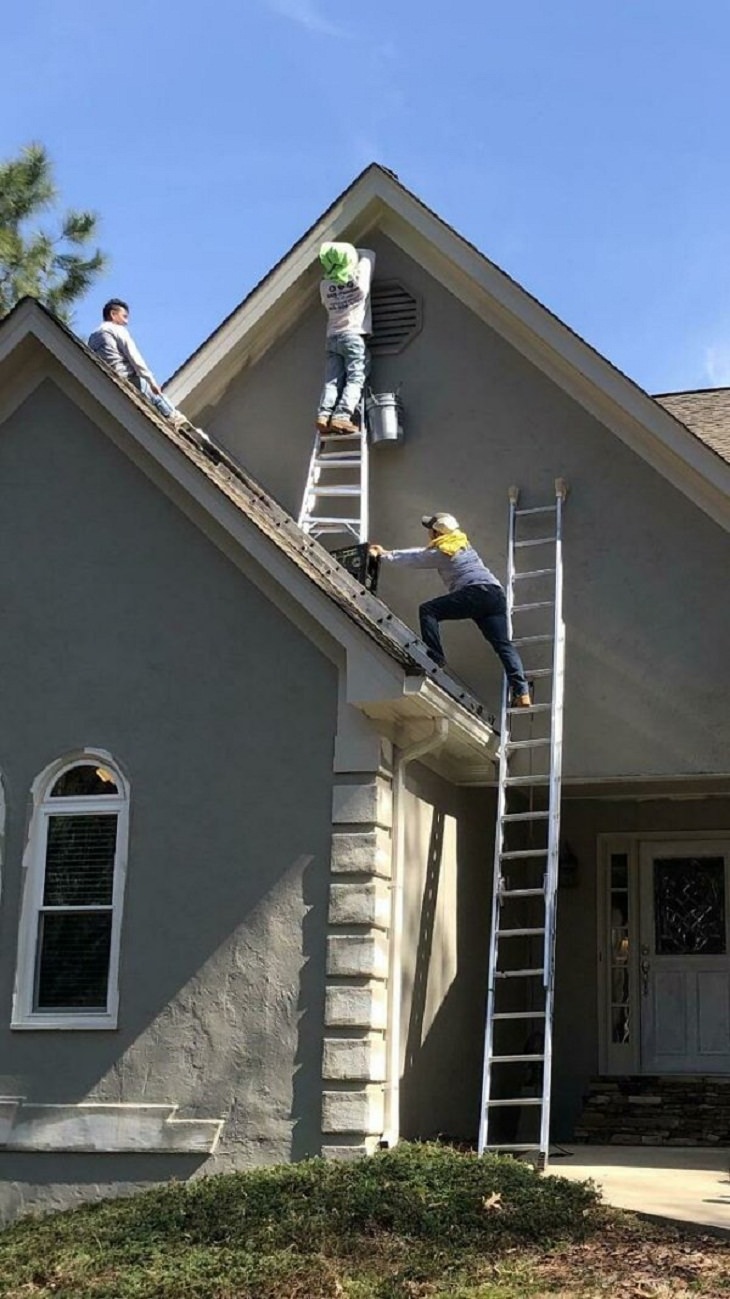 safety fails, ladder