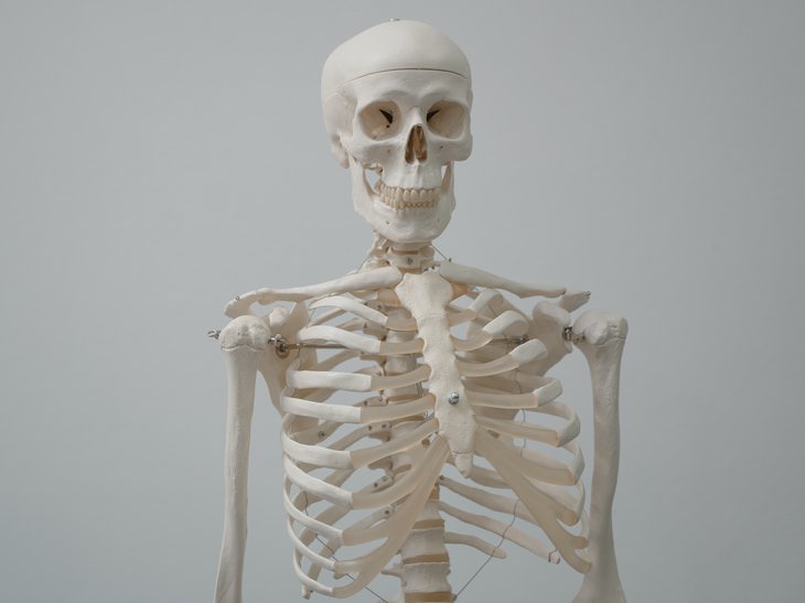 Unbelievable Facts skeleton