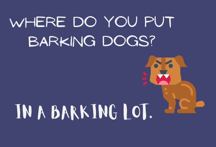 Animal Puns & Jokes, dog, barking