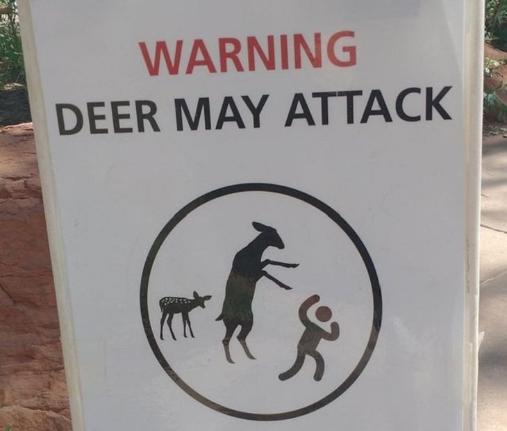 Weird & Wacky Signs, deer
