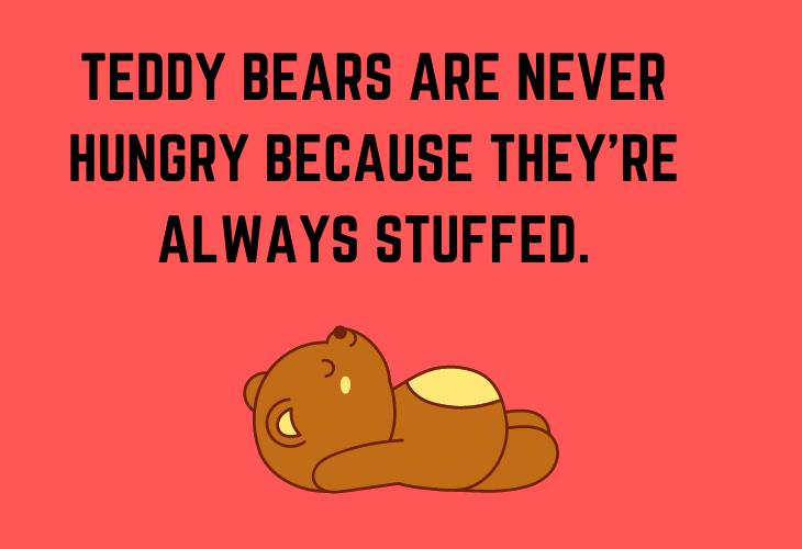 Animal Puns & Jokes, teddy bear